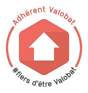 Logo valobat